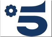 Logo Canale 5 televisione italiana